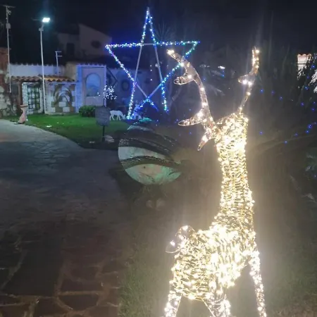 La Casa Dell'artista Bed and Breakfast